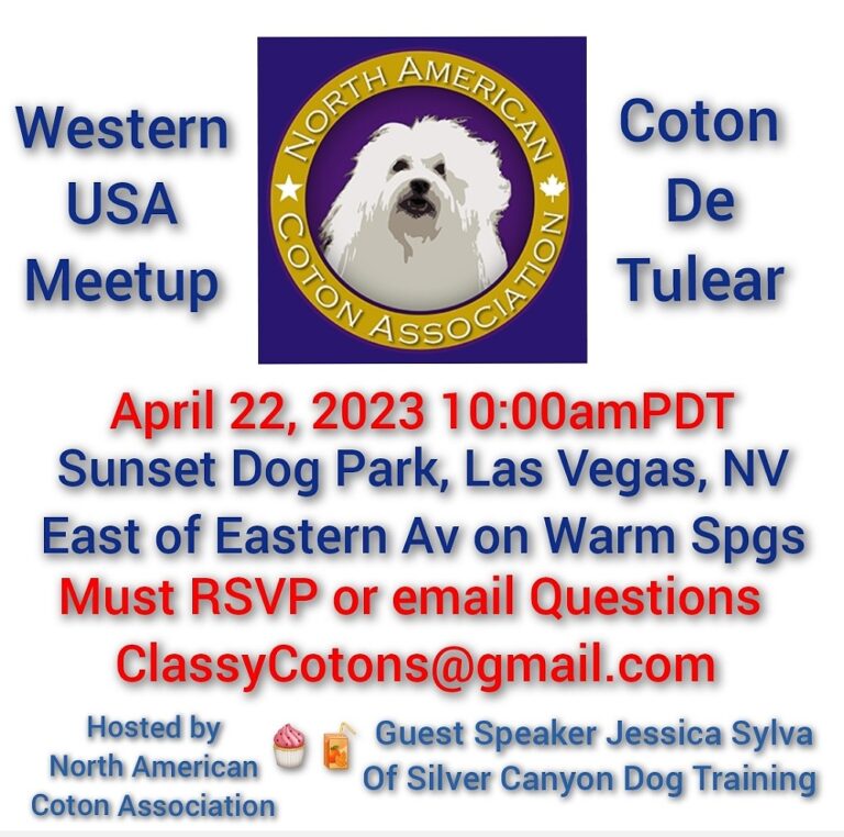 NACA Western Meetup-April 2023_Las Vegas