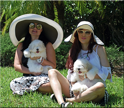 North American Coton de Tulear Association
