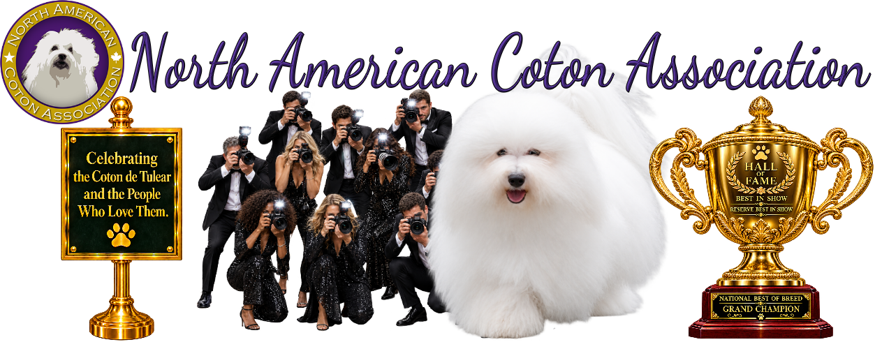 NACA Hall of Fame Page Header