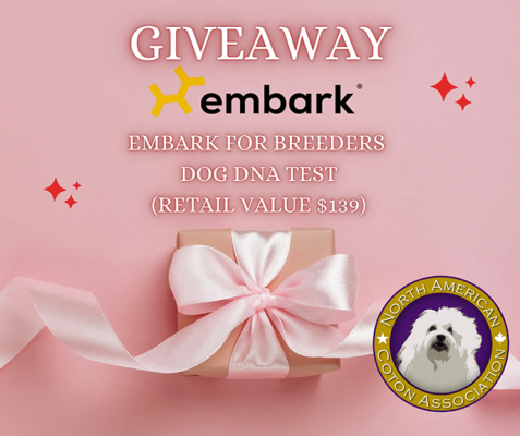 Embark 2026 NACA Giveaway Image
